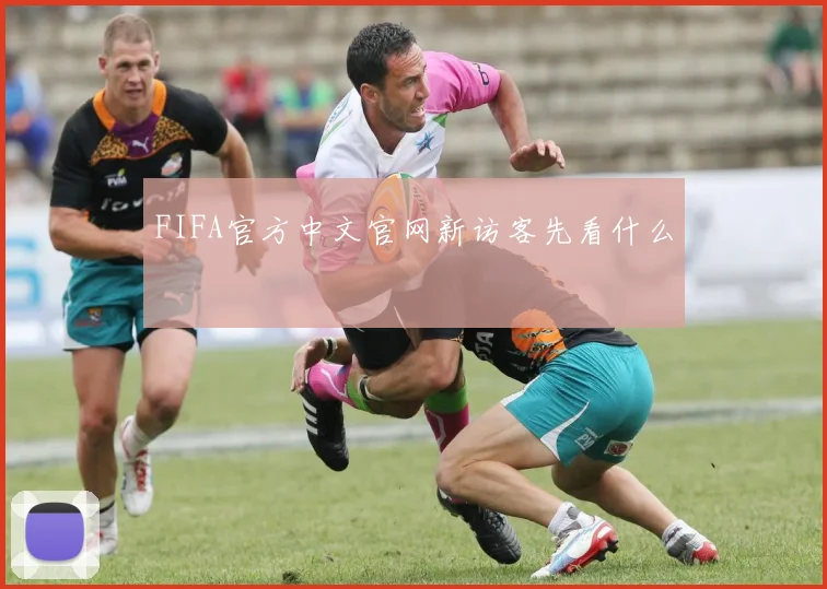 FIFA官方中文官网新访客先看什么