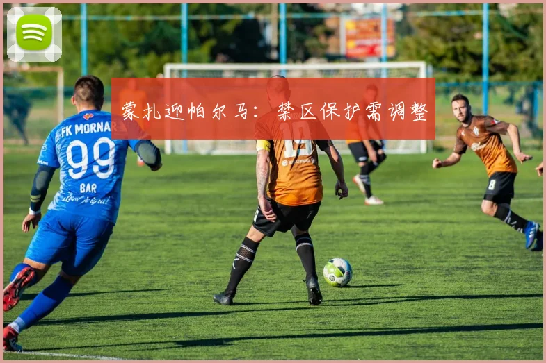 蒙扎迎帕尔马：禁区保护需调整